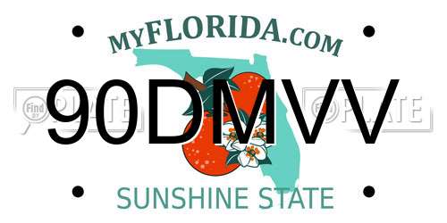 90DMVV Florida License Plate