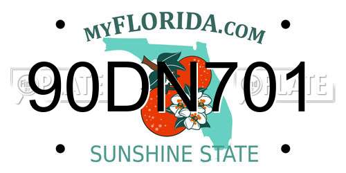 90DN701 Florida License Plate