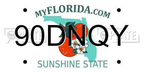 90DNQY Florida License Plate