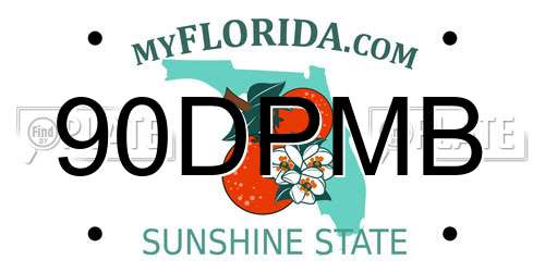 90DPMB Florida License Plate