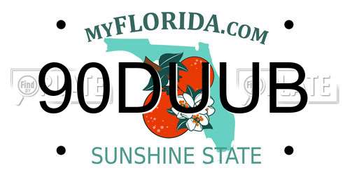 90DUUB Florida License Plate