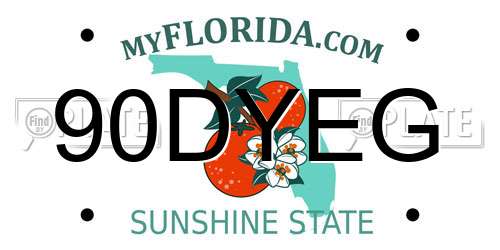 90DYEG Florida License Plate
