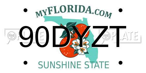90DYZT Florida License Plate