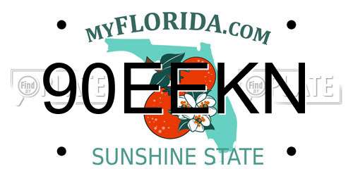 90EEKN Florida License Plate