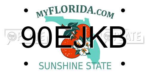 90EJKB Florida License Plate