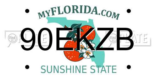 90EKZB Florida License Plate