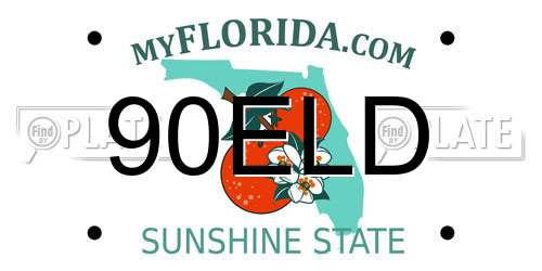90ELD Florida License Plate