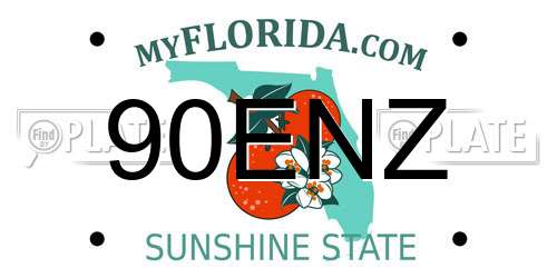 90ENZ Florida License Plate