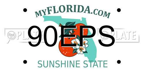 90EPS Florida License Plate