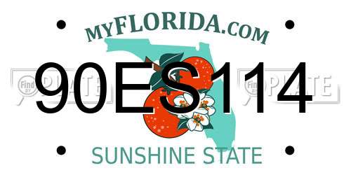 90ES114 Florida License Plate