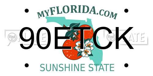 90ETCK Florida License Plate