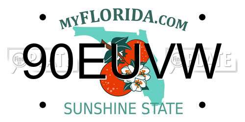 90EUVW Florida License Plate