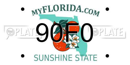 90F0 Florida License Plate
