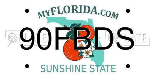 90FBDS Florida License Plate