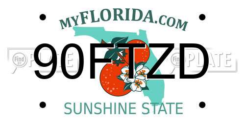 90FTZD Florida License Plate