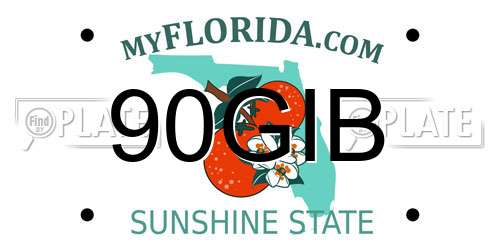 90GIB Florida License Plate