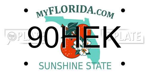 90HEK Florida License Plate