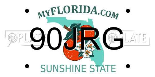 90JRG Florida License Plate