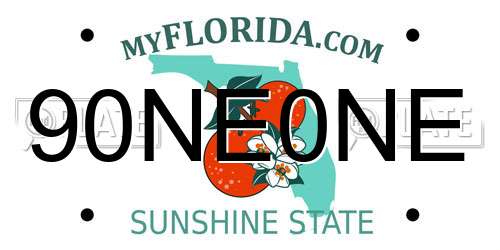 90NE0NE Florida License Plate