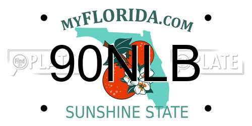 90NLB Florida License Plate