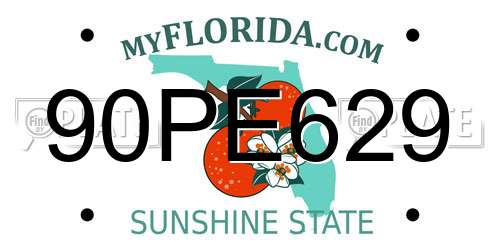 90PE629 Florida License Plate