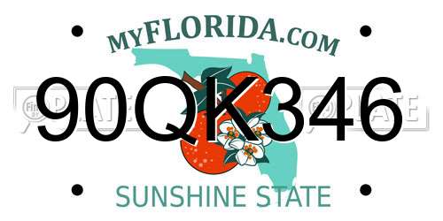 90QK346 Florida License Plate