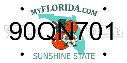 90QN701 Florida License Plate