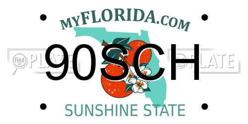 90SCH Florida License Plate