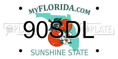 90SDL Florida License Plate