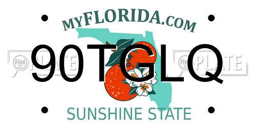 90TGLQ Florida License Plate
