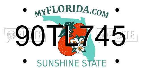 90TL745 Florida License Plate