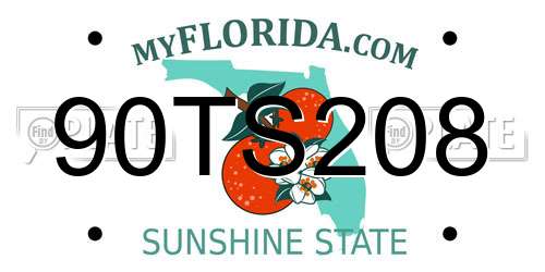 90TS208 Florida License Plate