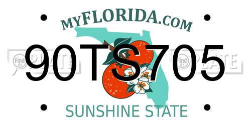 90TS705 Florida License Plate