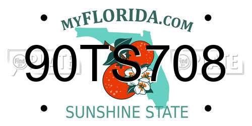 90TS708 Florida License Plate