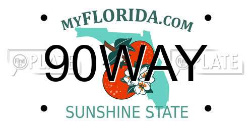 90WAY Florida License Plate