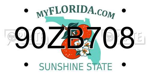 90ZB708 Florida License Plate