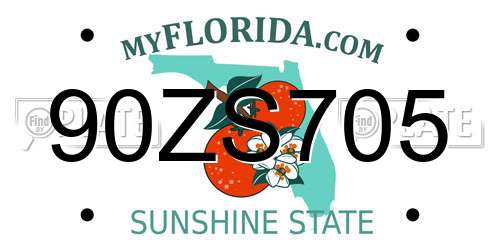 90ZS705 Florida License Plate