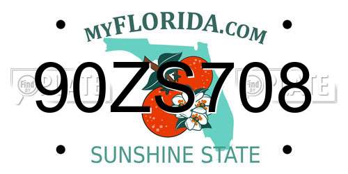 90ZS708 Florida License Plate