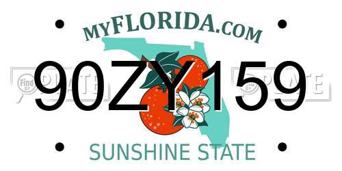 90ZY159 Florida License Plate