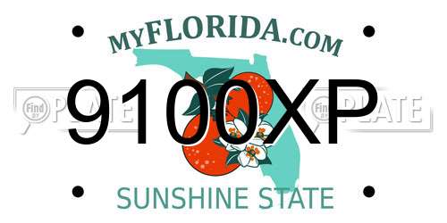 9100XP Florida License Plate