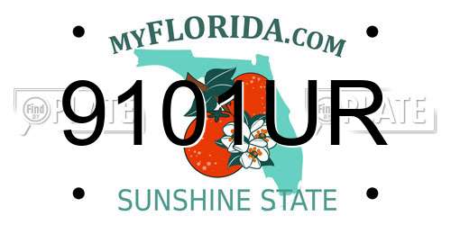 9101UR Florida License Plate