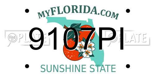 9107PI Florida License Plate