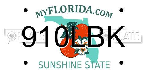 910LBK Florida License Plate
