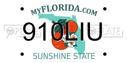 910LIU Florida License Plate