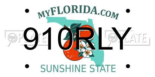 910RLY Florida License Plate
