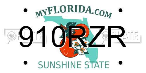 910RZR Florida License Plate