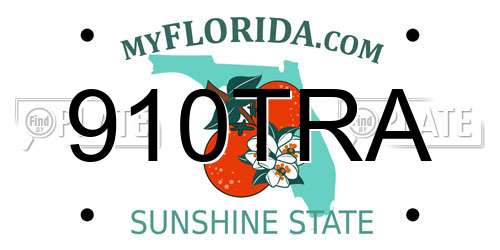 910TRA Florida License Plate