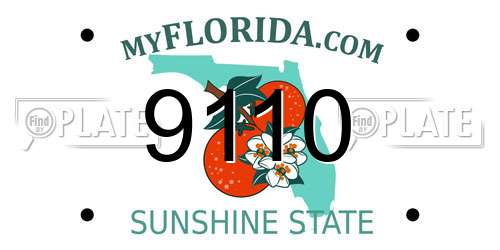 9110 Florida License Plate