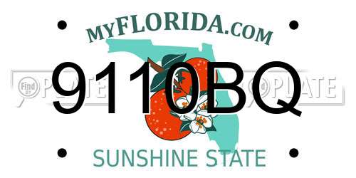 9110BQ Florida License Plate