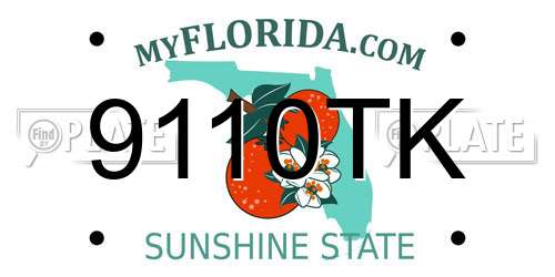 9110TK Florida License Plate